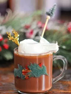 Spiked Hot Chocolate in a glass mug with holly, whipped cream on top, pine stir stick and gold deer spoon