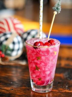 cropped-Pineapple-Cranberry-Mezcal-Cocktail-6.jpg