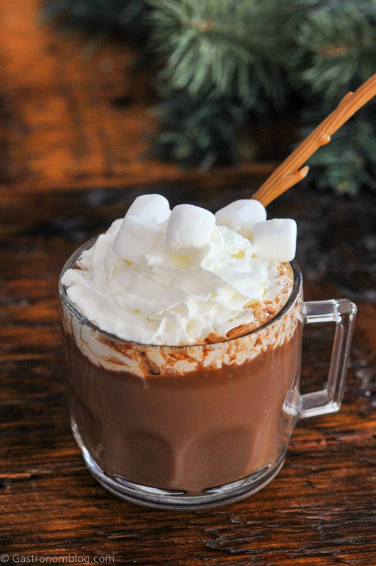 Brown hot chocolate in clear mug, topped with whipped cream and marshmallows. Pine in background.