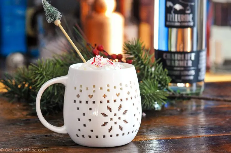 Peppermint Schnapps Hot Chocolate in a white mug, pine tree stirrer, evergreen branch behind