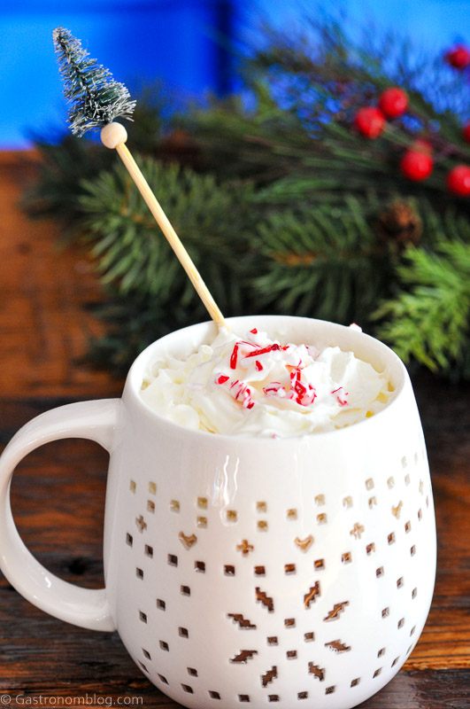 Peppermint Schnapps Hot Chocolate in a white mug, pine tree stirrer, evergreen branch behind