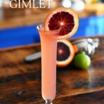 Blood Orange Gimlet, a pink cocktail with blood orange wheel garnish
