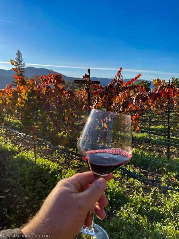 hand holding a glass of red wine in front of a vineyard at a Napa Valley wine tasting