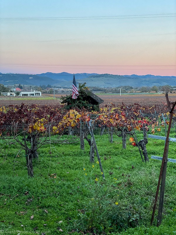 View of Napa Valley vineyards at sunset