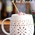 Peppermint Schnapps Hot Chocolate in a white mug, pine tree stirrer, evergreen branch behind