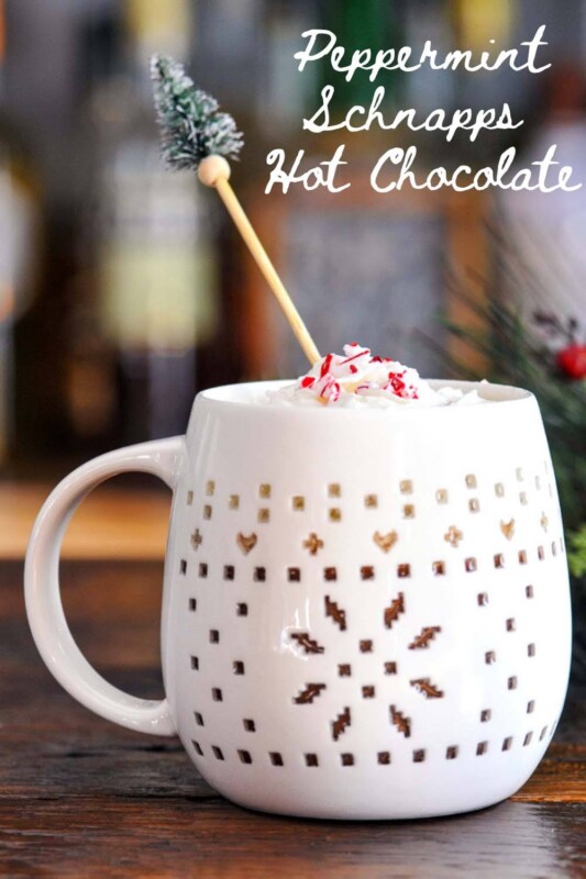 Peppermint Schnapps Hot Chocolate Gastronom Cocktails