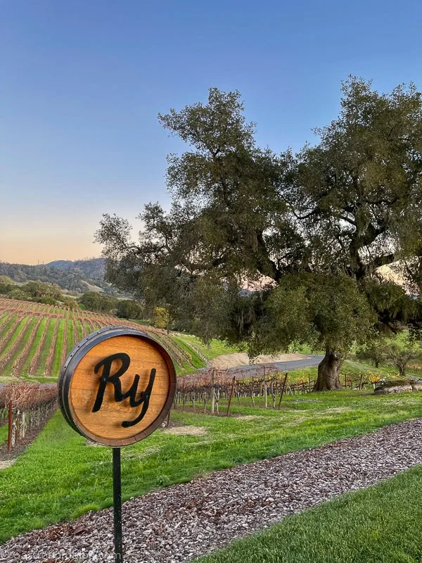 Large tree and vineyards behind Robert Young Vineyards sign