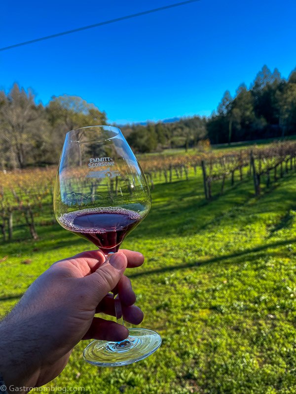 Hand holding a glass of red wine in front of Emmitt Scorsone Vineyards