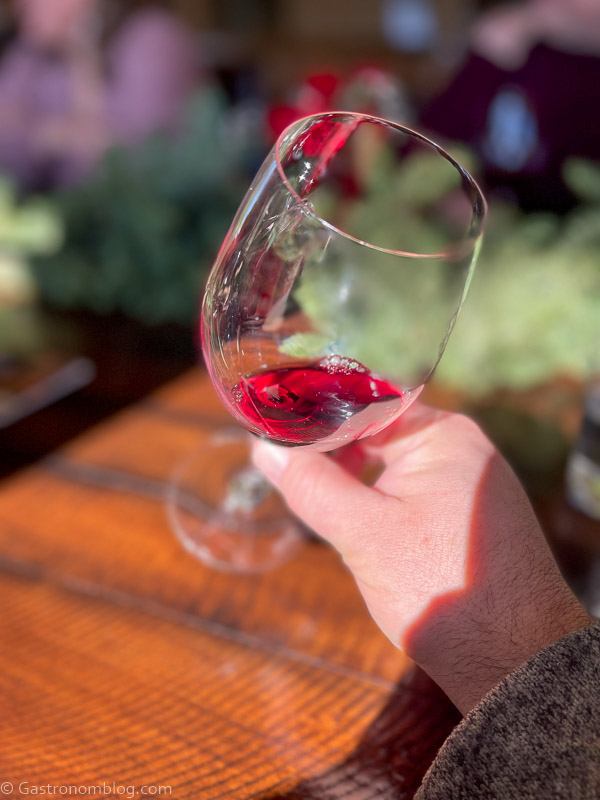 Hand holding a glass of red wine