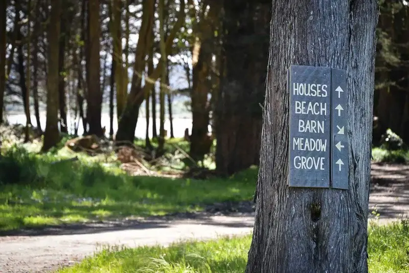 Grove of trees, sign on tree for directions