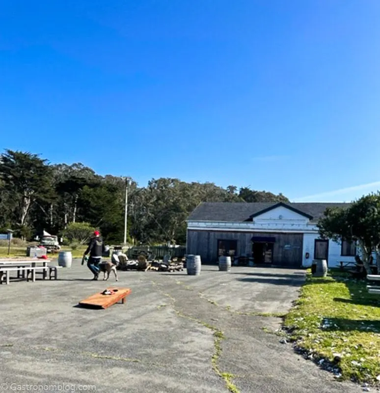 Outside patio at Humboldt Bay Social Club, looking towards their restaurant, Jetty