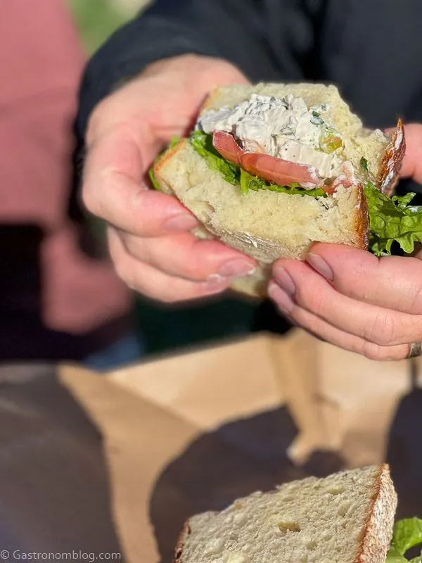 Hands holding sandwich