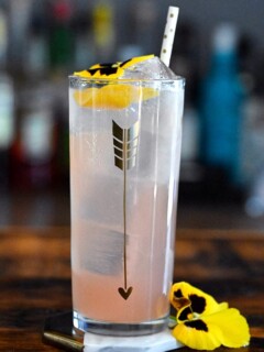 Rhubarb Collins, pink cocktail in tall glass with gold arrow, straw and edible yellow flower