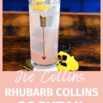 Rhubarb Collins, pink cocktail in tall glass with gold arrow, straw and edible yellow flower