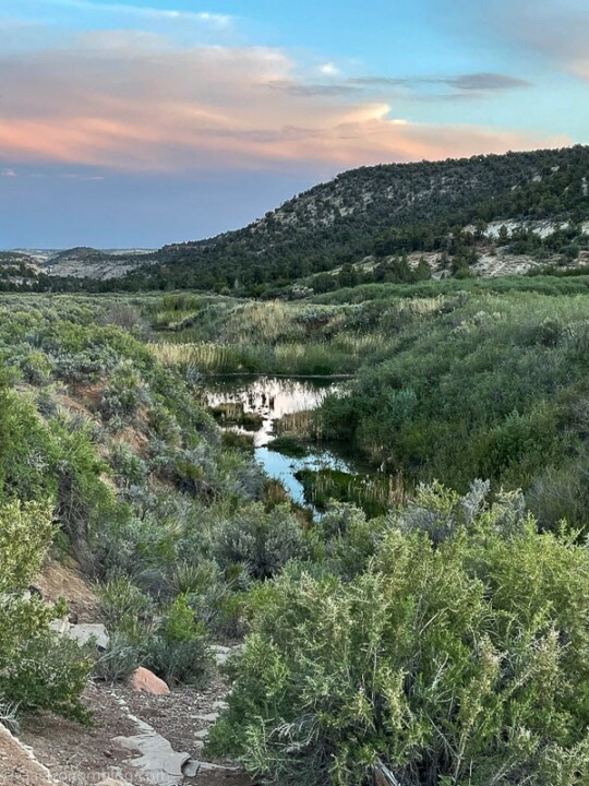 Boulder Mountain Guest Ranch - Utah | Gastronom Cocktails