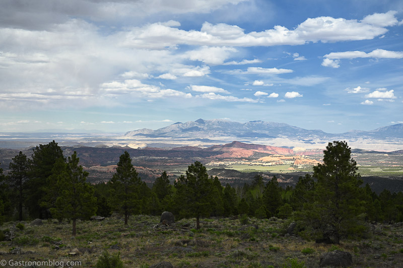 View of Grand Staircase-Escalante in Utah