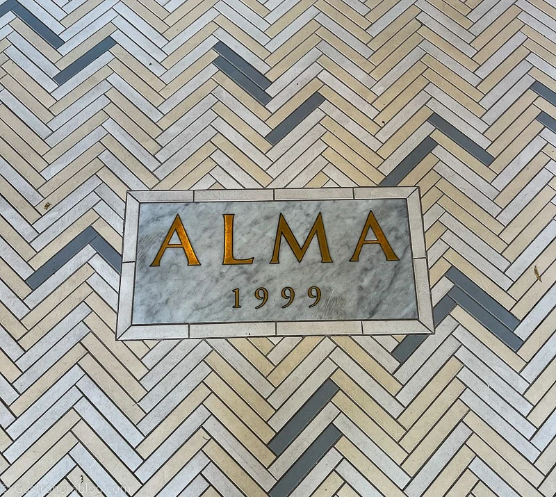 Tile floor with Alma est 1999 tile in the middle
