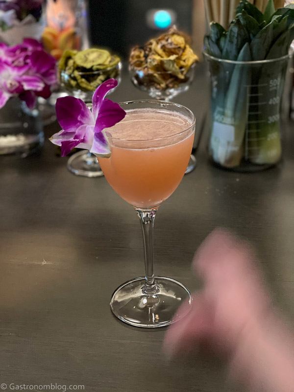 Pink cocktail with orchid garnish in Nick and Nora glass