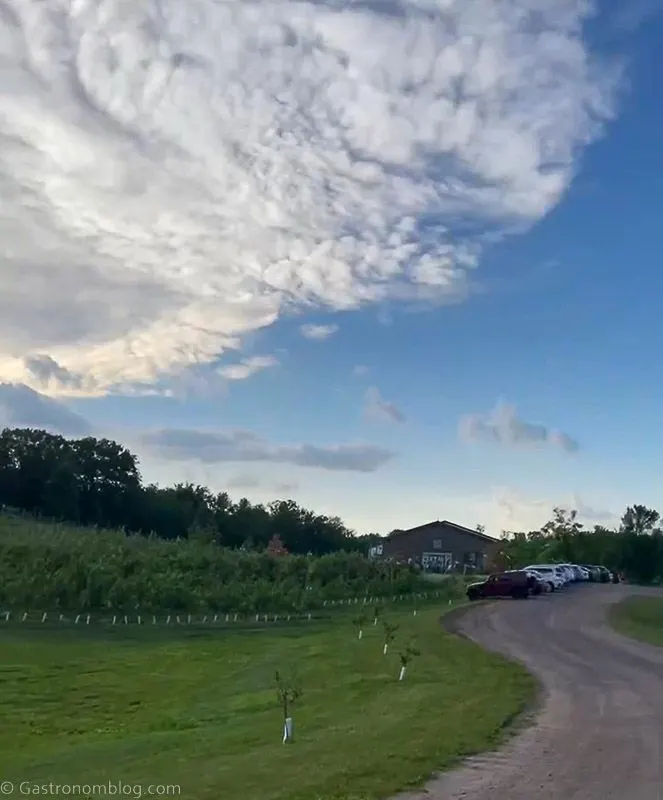 View of hills and blue sky at Milk and Honey Ciders