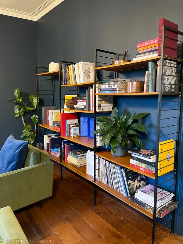 bookcase with records and books
