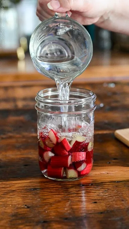 pouring vodka over rhubarb in a glass jar
