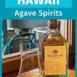 agave spirits tasting at Waikulu Distillery on Maui blue bottle behind glass