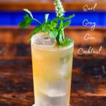 tan Earl Grey Gin Cocktail in tumbler with mint sprig garnish on wooden table