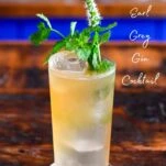 tan Earl Grey Gin Cocktail in tumbler with mint sprig garnish on wooden table
